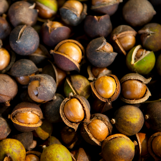 Kukui Nut Oil