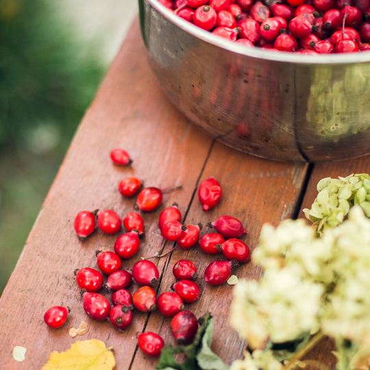 Rosehip Oil